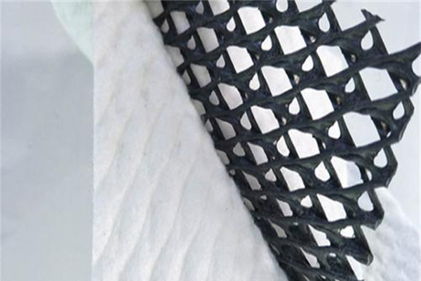 三維復合排水網圖片  第5張